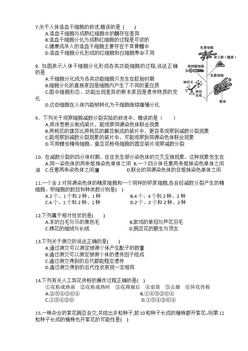 2021广州番禺区洛溪新城中学高一下学期4月月考生物试题含答案第2页