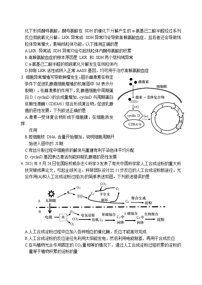 2022届山东省泰安肥城市高考仿真模拟生物试题(二)第2页