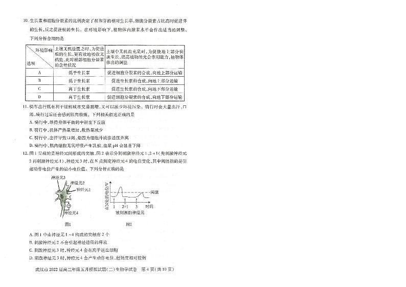 2022年武汉市高三五月模拟试题(二)生物试卷含答案第3页