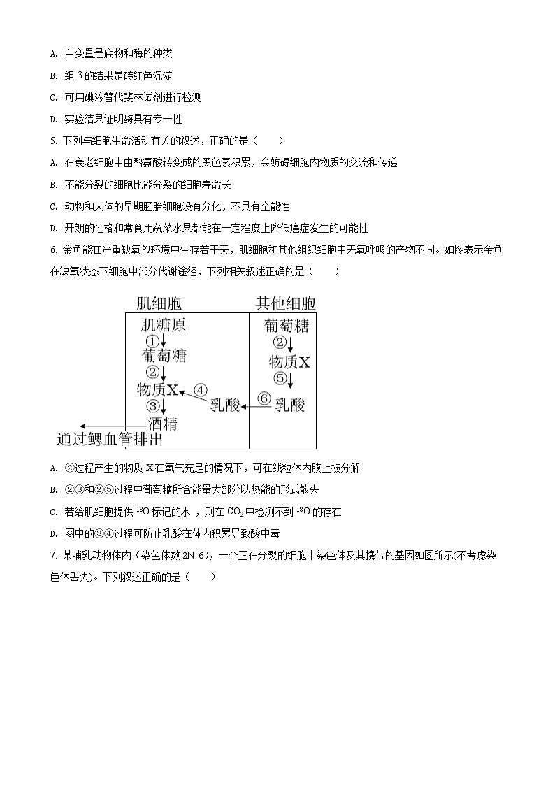 2022届重庆市巴蜀中学高考适应性月考(十)生物试题第2页