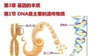 生物必修2《遺傳與進化》第1節(jié) DNA是主要的遺傳物質(zhì)教學演示ppt課件