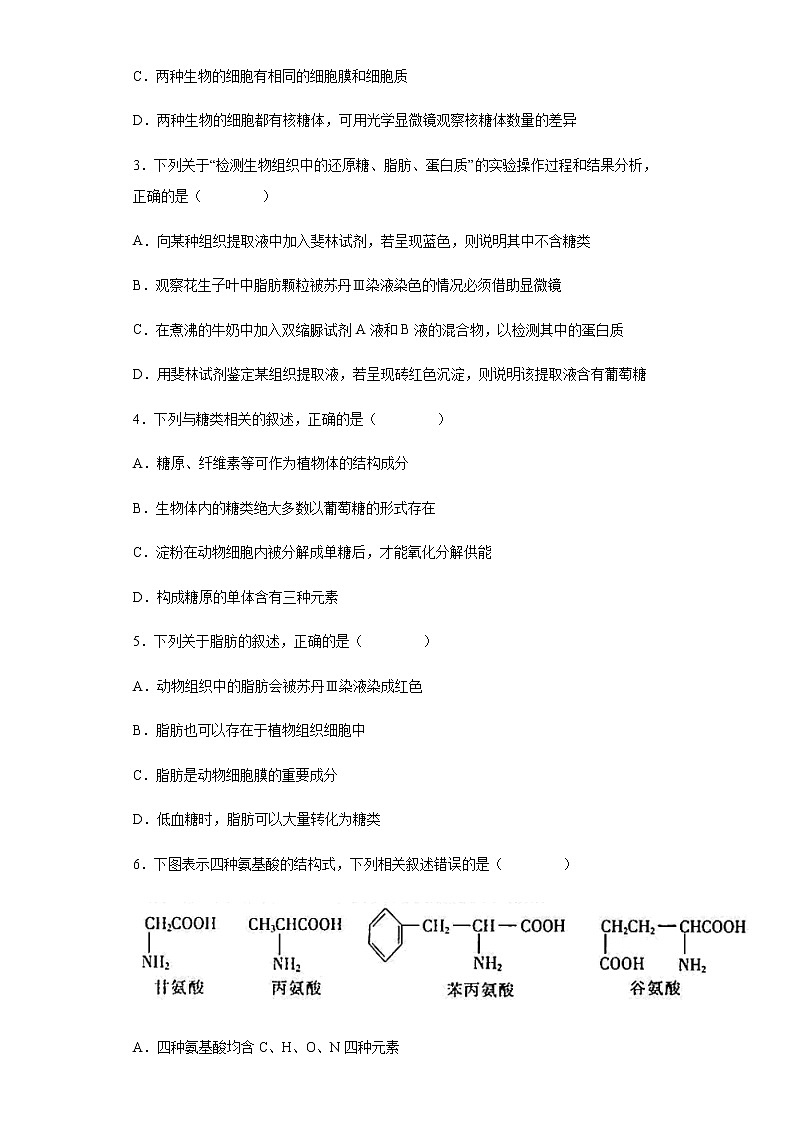 2021-2022学年河北省邯郸市九校联盟上学期高一期中生物试题含解析第2页