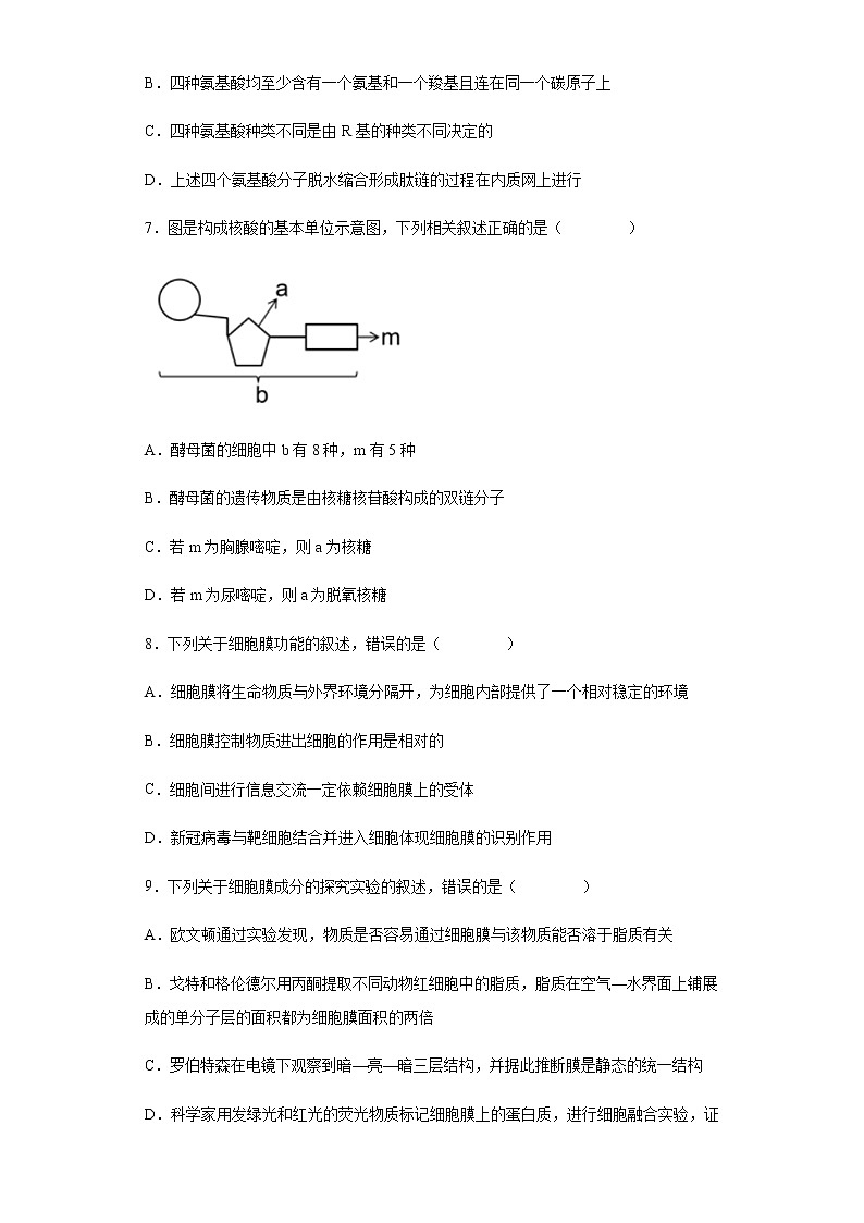 2021-2022学年河北省邯郸市九校联盟上学期高一期中生物试题含解析第3页