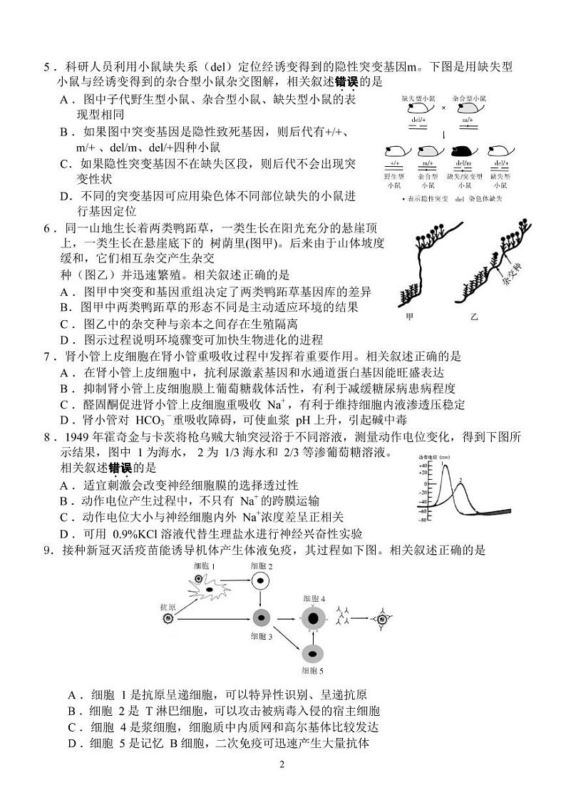 2022届江苏南通高三四模生物试卷及答案第2页