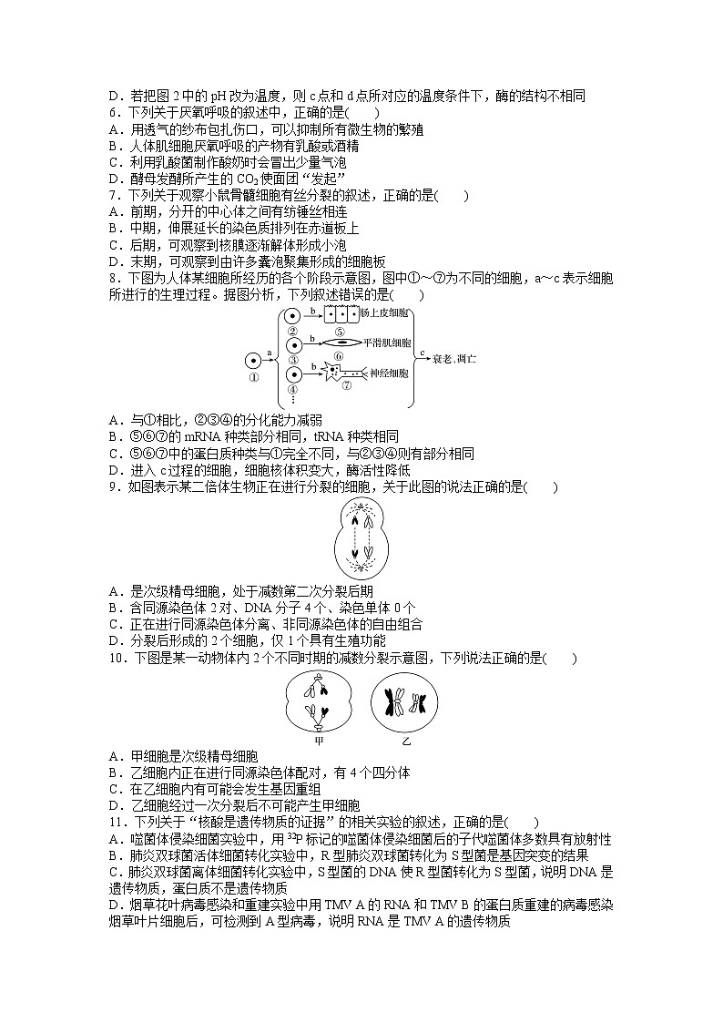 2021-2022学年陕西省西安市长安区第一中学高二下学期期中质量检测生物试题含答案02