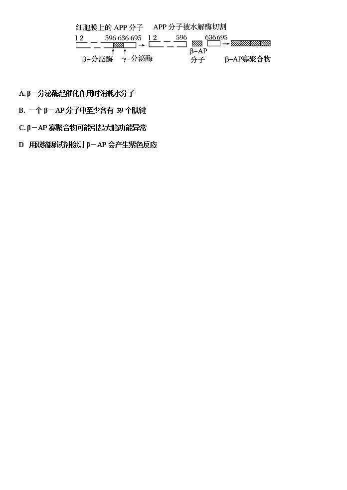 2021-2022学年山东省淄博市第一中学高二下学期期中考试生物试题含答案02