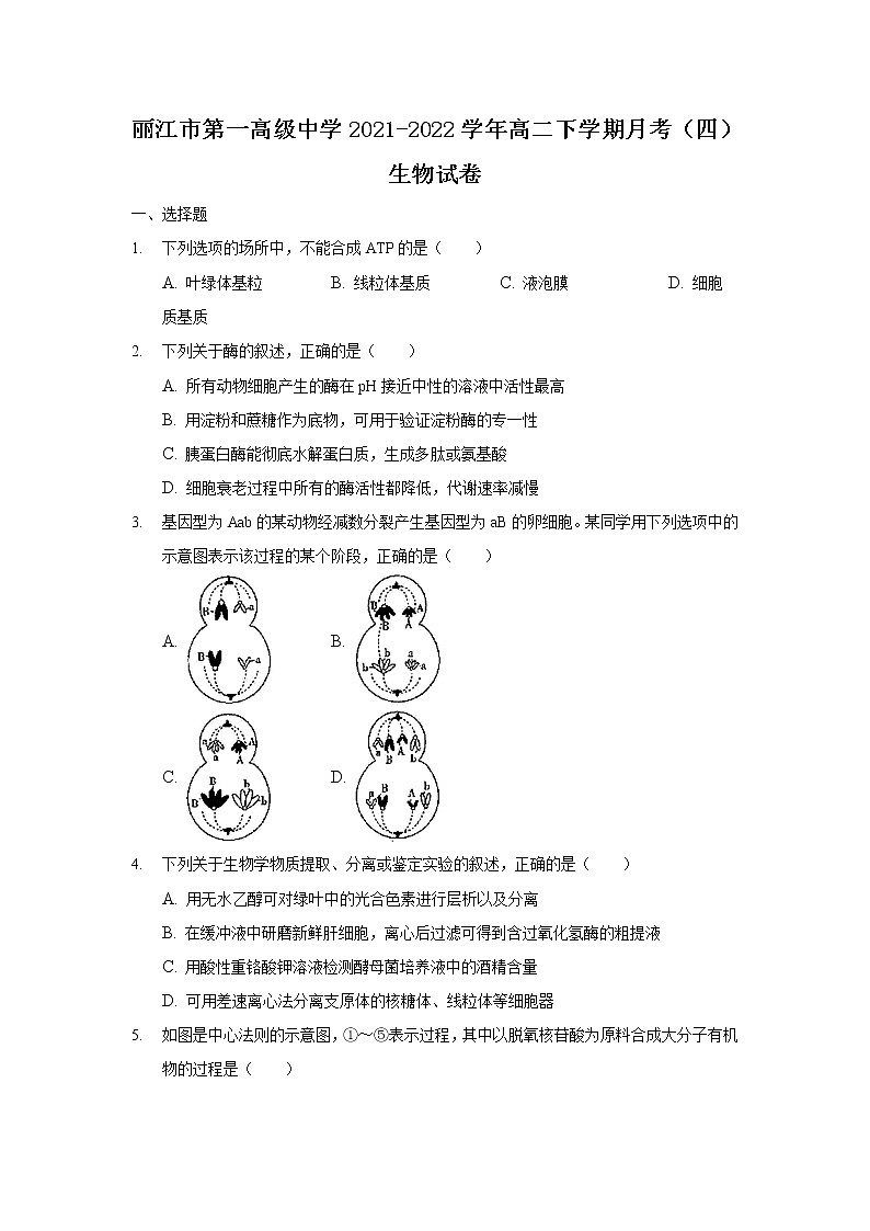 2021-2022学年云南省丽江市第一高级中学高二下学期月考(四)生物试题含答案第1页