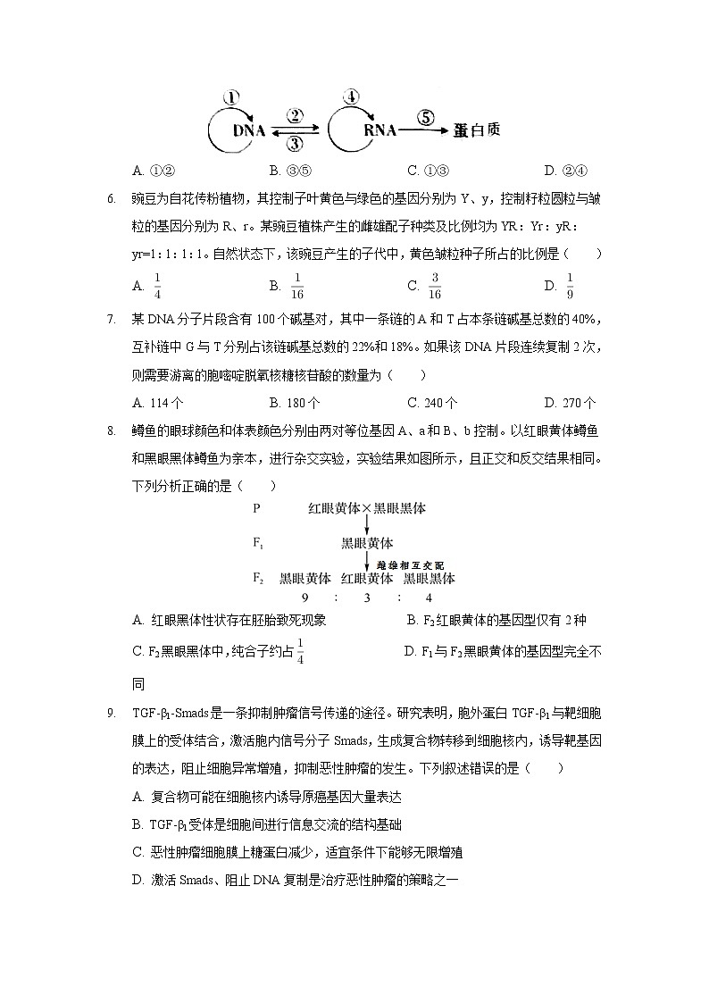 2021-2022学年云南省丽江市第一高级中学高二下学期月考(四)生物试题含答案第2页