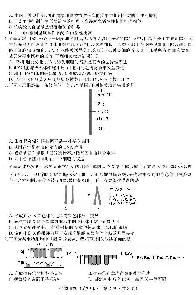 2022长沙湖南师大附中高三模拟(三)生物试卷PDF版含答案答题卡02