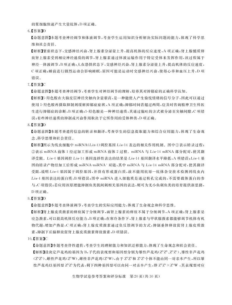 2022湖北省高三新高考信息卷(四)生物试题(PDF版含答案、答题卡)02