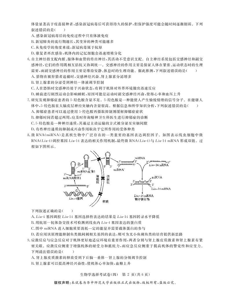 2022湖北省高三新高考信息卷(四)生物试题(PDF版含答案、答题卡)02