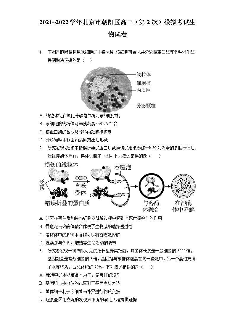 2021_2022学年北京市朝阳区高三(第2次)模拟考试生物试卷(含答案解析)第1页