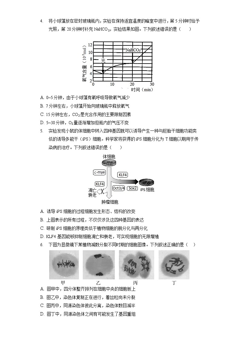 2021_2022学年北京市朝阳区高三(第2次)模拟考试生物试卷(含答案解析)第2页