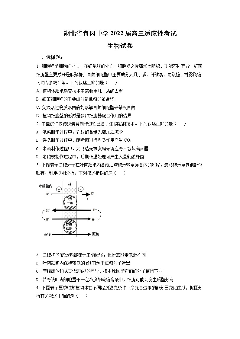 2022黄冈中学高三第四次模拟(四模)考试生物(含答案)01