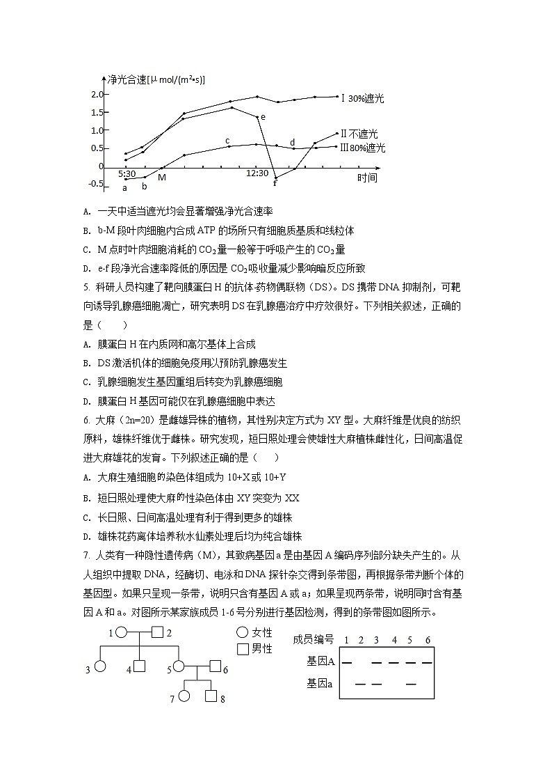 2022黄冈中学高三第四次模拟(四模)考试生物(含答案)02