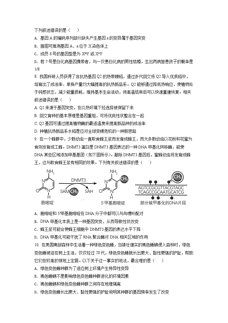 2022黄冈中学高三第四次模拟(四模)考试生物(含答案)03