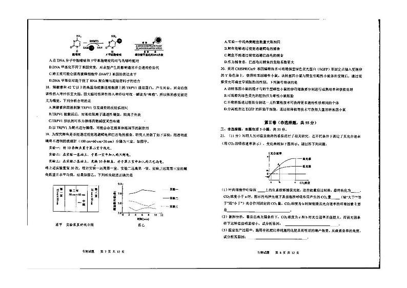 2022山东省实验中学高三模拟试题(三模)生物PDF版含答案03