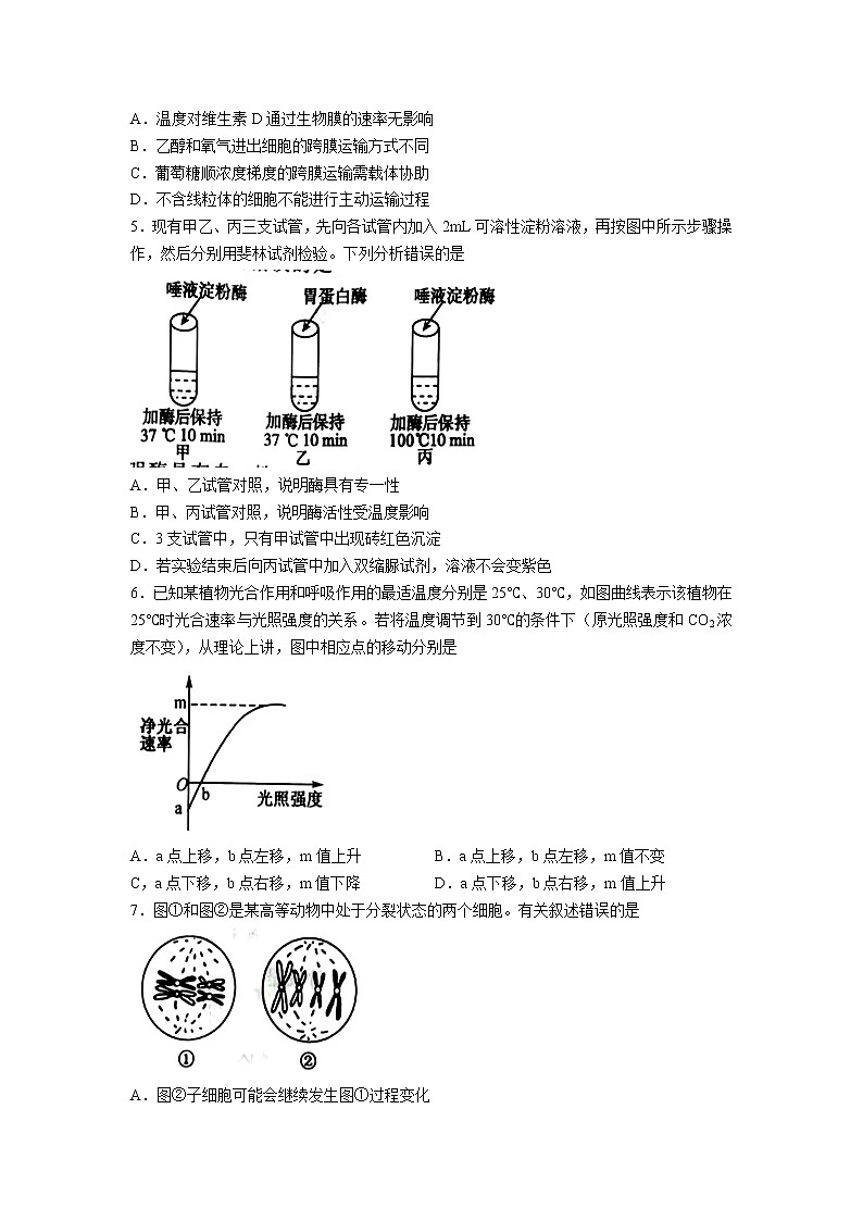 河北省衡水市深州市2021-2022学年高一下学期期末考试生物试卷第2页