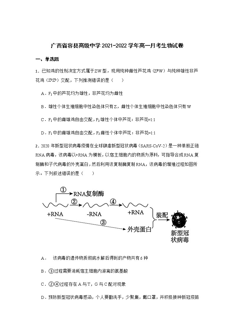 2021-2022学年广西省容县高级中学高一月考生物试卷含答案第1页