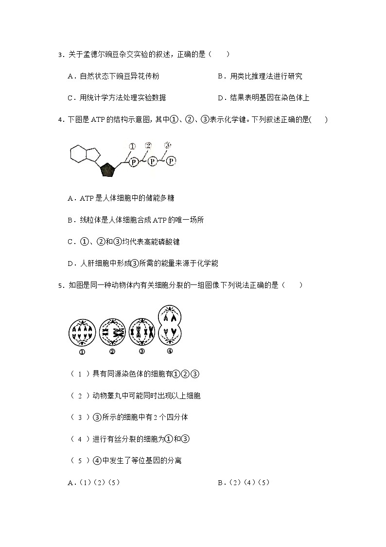 2021-2022学年广西省容县高级中学高一月考生物试卷含答案第2页