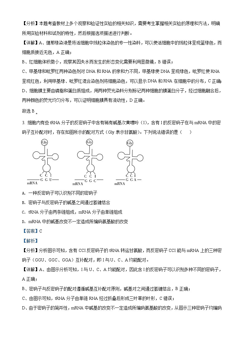 2021-2022学年广西省玉林市博白县中学高二下学期期中理综生物含解析第2页