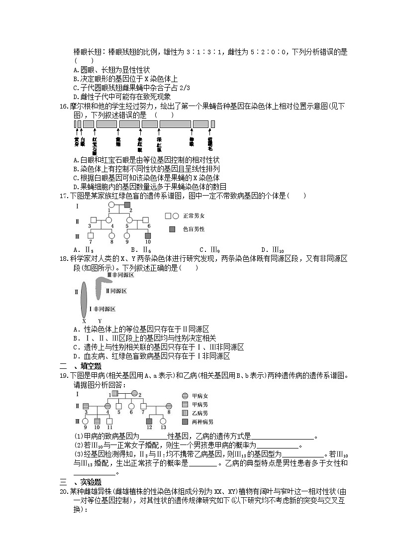 2023年高考生物一轮复习课时练16《基因在染色体上 伴性遗传》(含答案)03