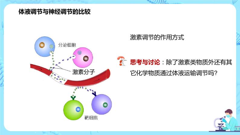 第三节《体液调节和神经调节的关系》课件+教案04