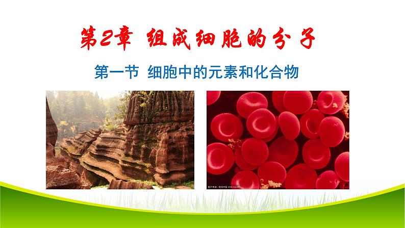 2.1 细胞中的元素和化合物 课件-2021-2022学年人教版(2019)高一生物必修一01