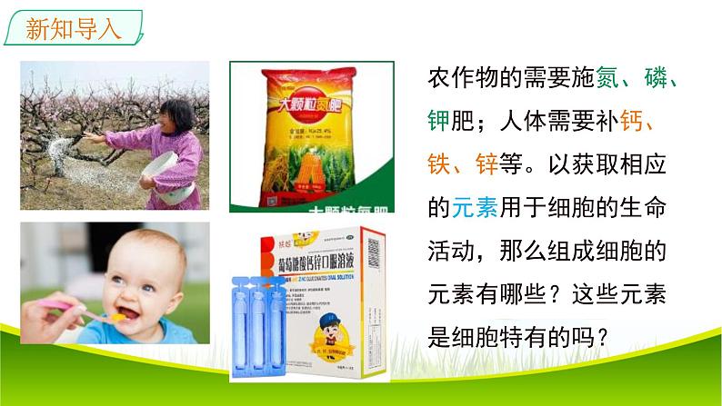 2.1 细胞中的元素和化合物 课件-2021-2022学年人教版(2019)高一生物必修一03