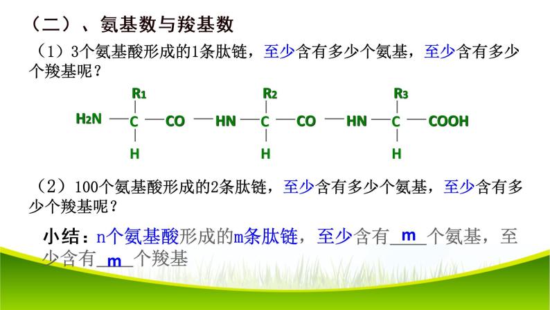 2.4 蛋白质是生命活动的主要承担者 第二课时 课件-2021-2022学年人教版（2019）高一生物必修一07