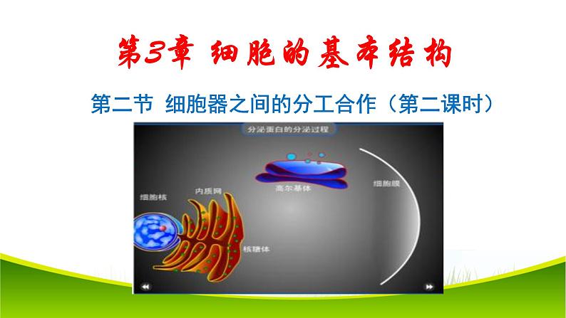 3.2 细胞器之间的分工合作(第二课时)课件-2021-2022学年人教版(2019)高一上学期生物必修一第1页
