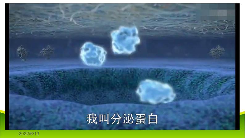 3.2 细胞器之间的分工合作(第二课时)课件-2021-2022学年人教版(2019)高一上学期生物必修一第6页
