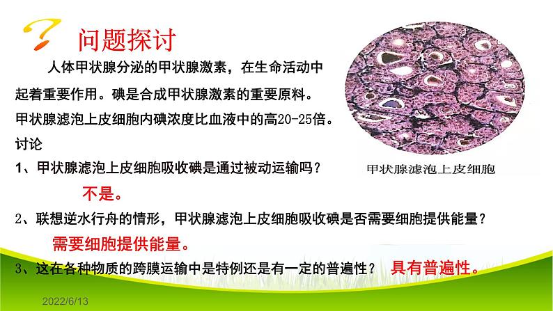 4.2 主动运输与胞吞、胞吐 课件-2021-2022学年人教版(2019)高一上学期生物必修一第3页