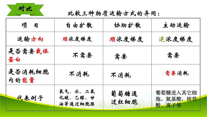 4.2 主动运输与胞吞、胞吐 课件-2021-2022学年人教版(2019)高一上学期生物必修一第5页