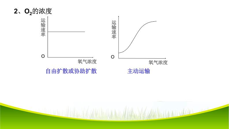 4.2 主动运输与胞吞、胞吐 课件-2021-2022学年人教版(2019)高一上学期生物必修一第7页