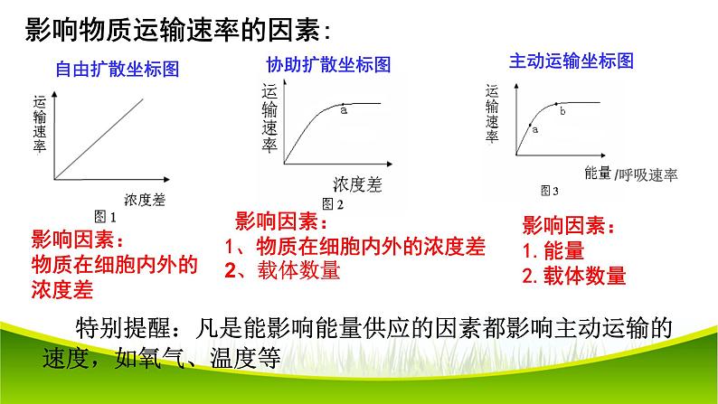 4.2 主动运输与胞吞、胞吐 课件-2021-2022学年人教版(2019)高一上学期生物必修一第8页