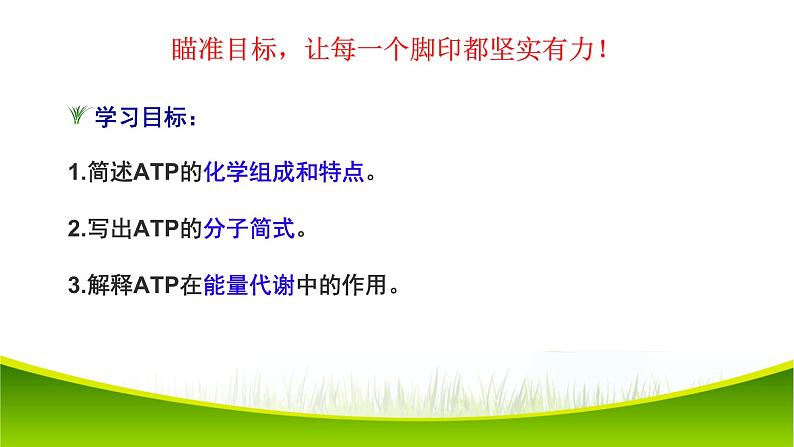 5.2 细胞的能量“货币”ATP 课件-2021-2022学年人教版(2019)高一生物必修一02