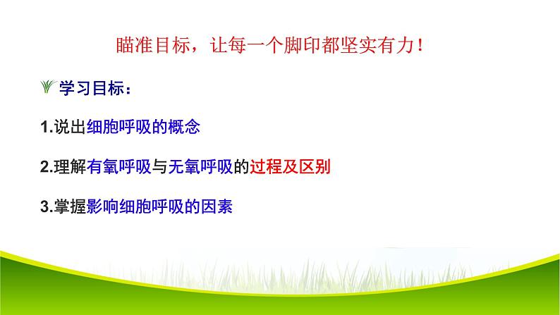 5.3 细胞呼吸的原理和应用(第二课时)课件-2021-2022学年人教版(2019)高一生物必修一03