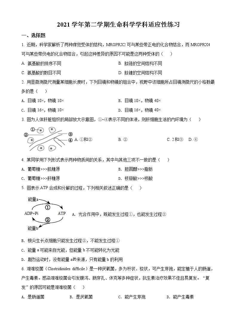 2022年上海市静安区高三等级考二模生物试题（含详解）01