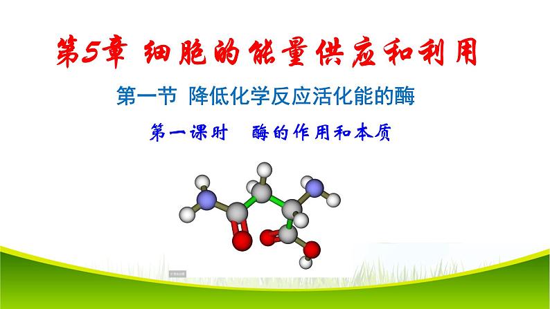 5.1 降低化学反应活化能的酶 第一课时 课件-2021-2022学年人教版(2019)高一生物必修一第1页