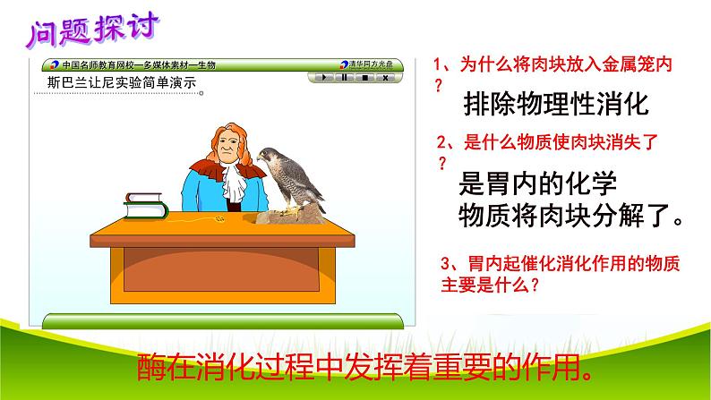 5.1 降低化学反应活化能的酶 第一课时 课件-2021-2022学年人教版(2019)高一生物必修一第3页