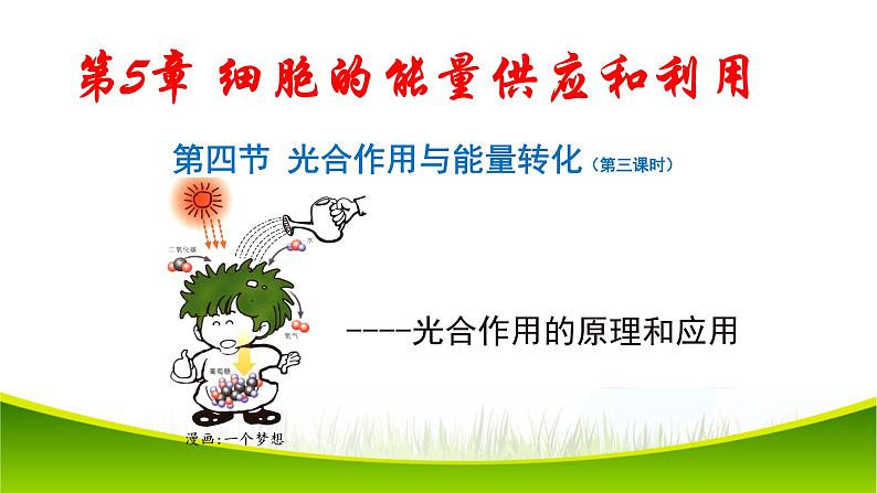 5.4 光合作用与能量转化(第三课时)课件-2021-2022学年人教版(2019)高一生物必修一01