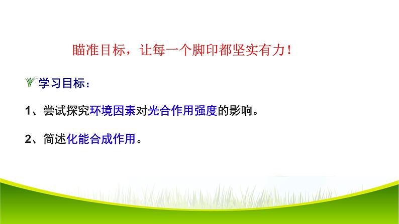 5.4 光合作用与能量转化(第三课时)课件-2021-2022学年人教版(2019)高一生物必修一02