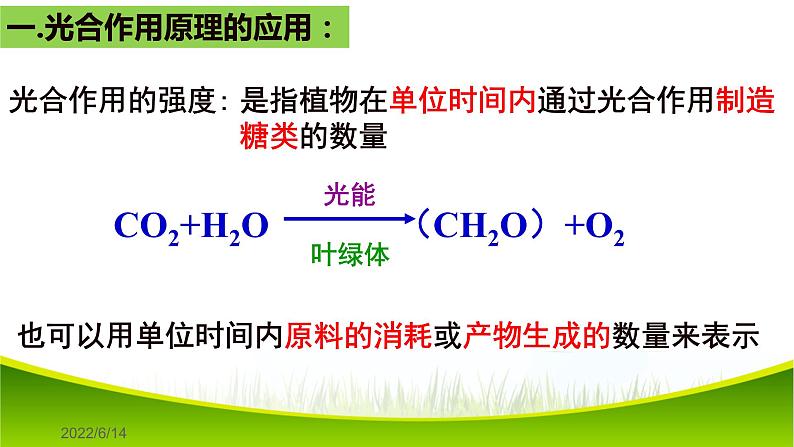 5.4 光合作用与能量转化(第三课时)课件-2021-2022学年人教版(2019)高一生物必修一03