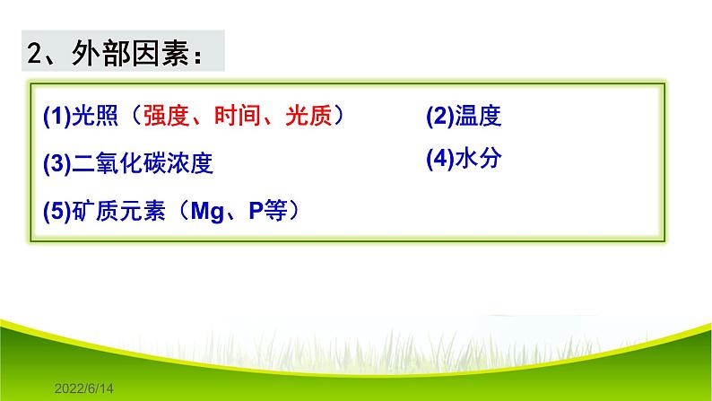 5.4 光合作用与能量转化(第三课时)课件-2021-2022学年人教版(2019)高一生物必修一06