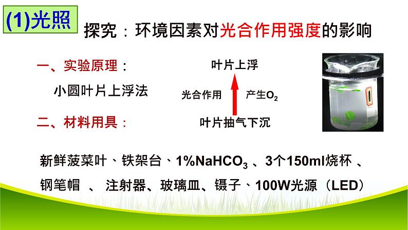 5.4 光合作用与能量转化(第三课时)课件-2021-2022学年人教版(2019)高一生物必修一07