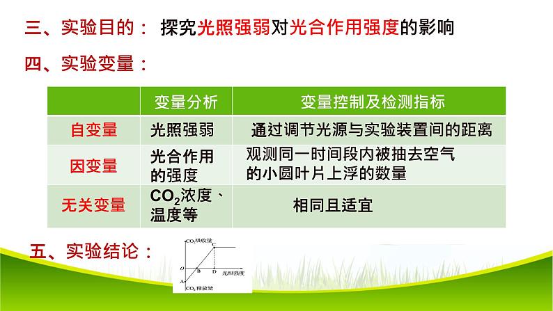 5.4 光合作用与能量转化(第三课时)课件-2021-2022学年人教版(2019)高一生物必修一08