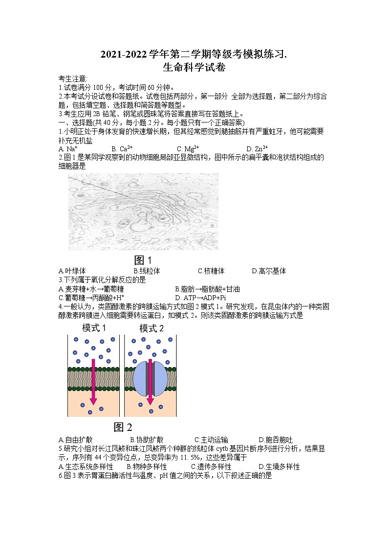 2022年上海市闵行区高三(二)等级考二模生物试题(含答案)第1页