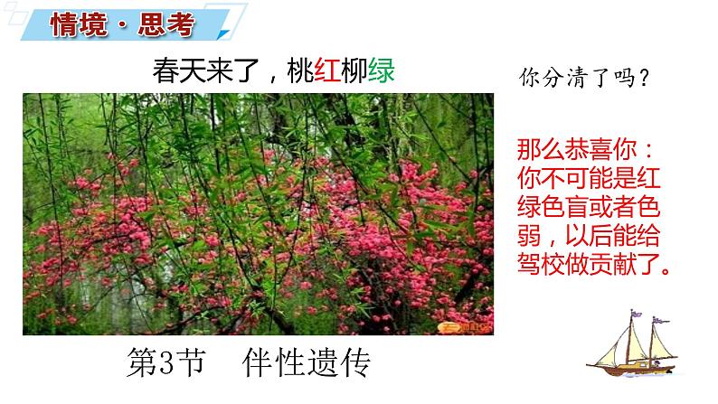 2.3 伴性遗传 课件【新教材】2020-2021学年高一生物人教版(2019)必修二01