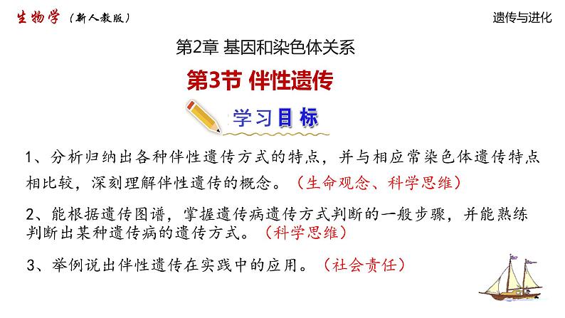 2.3 伴性遗传 课件【新教材】2020-2021学年高一生物人教版(2019)必修二02